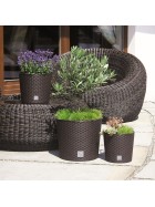 Blumentopf Rattan Blumenkübel Übertopf Pflanzentopf Pflanzkübel Blumenkübel groß